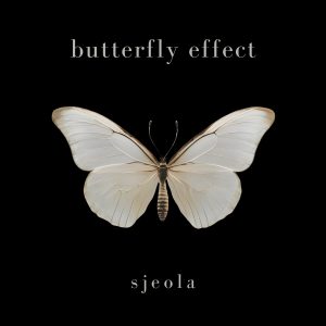 Butterfly Effect
