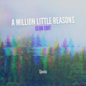 A Million Little Reasons (Club Edit)