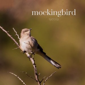 Mockingbird